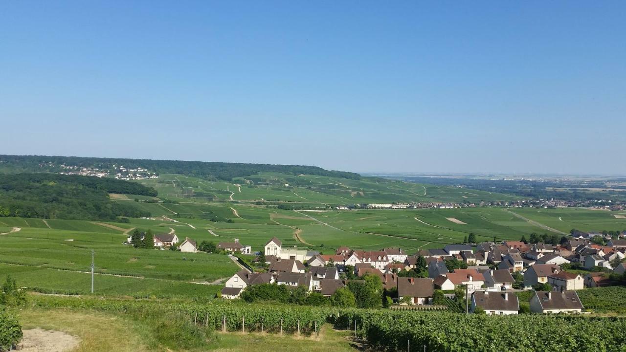Apartmán La Mignonette Épernay Exteriér fotografie